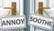 Annoy or soothe as a choice in life - pictured as words Annoy, soothe on doors to show that Annoy and soothe are different options