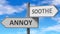 Annoy and soothe as a choice - pictured as words Annoy, soothe on road signs to show that when a person makes decision he can