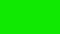 An Annoying fly on a Green Screen Background