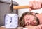 Annoying ringing alarm clock. Man bearded annoyed sleepy face lay pillow near alarm clock. Guy knocking with hammer