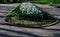 Annual flowerbed with yellow and blue flowers bordered by a low fence of metal gray fittings. landscaping in summer with tulips