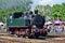 The annual parade about steam locomotives in Wolsztyn, Poland.