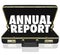 Annual Report Briefcase Words Financial Statement