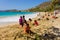 An annual sandcastle competition in the windward islands