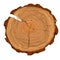 Annual tree growth rings with brown tones drawing of the cross-section of a tree trunk