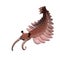 Anomalocaris, creature of the Cambrian period, isolated on white background 3d science illustration