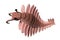 Anomalocaris, creature of the Cambrian period, top view, isolated on white background 3d science illustration