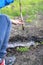 Anonymous boyish child having fun playing with mud, real life