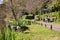 Anonymous families enjoying sunny day off watching wild geese in park