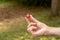 Anonymous man holding up one single simple red 20 sided RPG game dice, object held in hand detail, closeup Role playing games