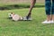 Anonymous person leaving his shoes on the grass