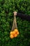 Anonymous young woman`s hand holding organic oranges