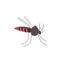 Anopheles mosquito, zika, denge, malaria carrier