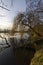 Another shot of reflection of tree branches in river