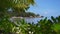 Anse Source d`Argent in Seychelles. Palm tree and green foliage moving by ocean breeze, rippled bay water and boat in