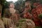 Ant Buddha in Leshan, Sichuan, China