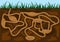 Ant family moving in tunnels anthill. Home of insects which life into earth. Vector cartoon close-up illustration