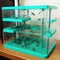 Ant farm with a colony of ants in a transparent container for studying and observing the life of insects. AI generative