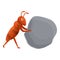 Ant find stone icon, cartoon style