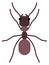 Ant flat icon. Wild fauna. Small insect