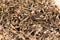 Ant hill home background, ant community or colony