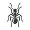 Ant Icon on White Background. Vector