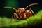 Ant, Leaf-cutter ant carrying leaves in green nature. Genaretive Ai