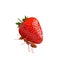 The Ant powerful carrying strawberry