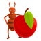 Ant red apple icon, cartoon style