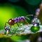 An Ant\'s Graceful Traverse on a Vibrant Leaf with a Enchanting Hovering Bubble. AI generated