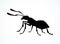 Ant. Vector drawing