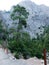 Antalya Goynuk Canyon. Beautiful mountain with trees pine in National reserve