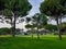 Antalya, Turkey, November 2019: Golf courses with trees. On a blurry background - green houses, flags and players with bags and