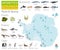 Antarctic, Antarctica, flora and fauna map, flat elements. Anim