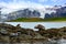 Antarctic fur seals on rocks in front of mountains, glacier and penguin colony on beach in South Georgia