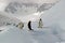 Antarctic Gentoo penguins