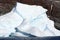 Antarctic Iceberg in Marguerite Bay, Antarctic Peninsula