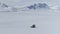 Antarctic landscape snowmobile travel aerial view