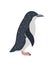 Antarctic penguin cartoon icon