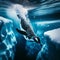 Antarctic penguin dives into cold blue ocean in search for food