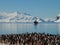 Antarctic penguin group