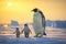Antarctic penguins with chick on the snow at sunset, Emperor penguin walk on snow, AI Generated