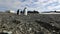 Antarctic penguins stand on pebbles