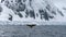 Antarctic Peninsula, Antarctica. Humpback whale diving.