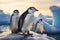 Antarctic scene Gentoo and Chinstrap penguins on an iceberg