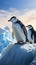 Antarctic scene Gentoo and Chinstrap penguins on an iceberg