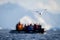 Antarctic tern flies over ocean by inflatable