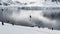 Antarctica, 08 January 2024: people go down to the rubber boats after viewing the habitats of penguins, sailing boat in
