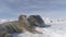 Antarctica baby adult weddell seal play on snow