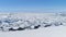 Antarctica coast glacier surface open water aerial